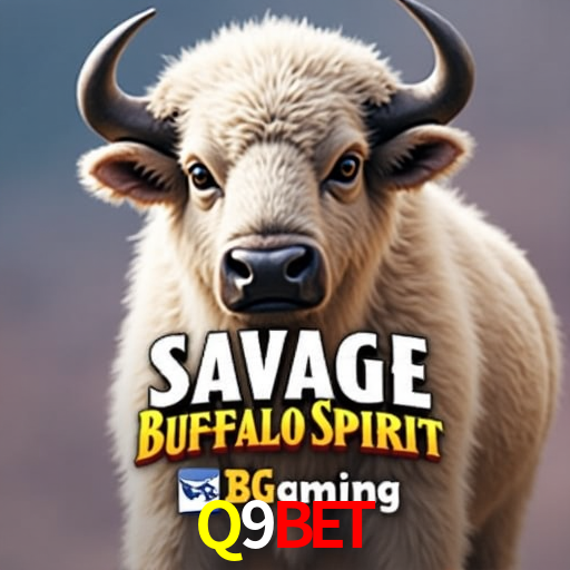 A Experiência Imersiva dos Cassinos Ao Vivo no Q9Bet